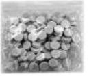 Diamond Tip Filter /50ea-pack